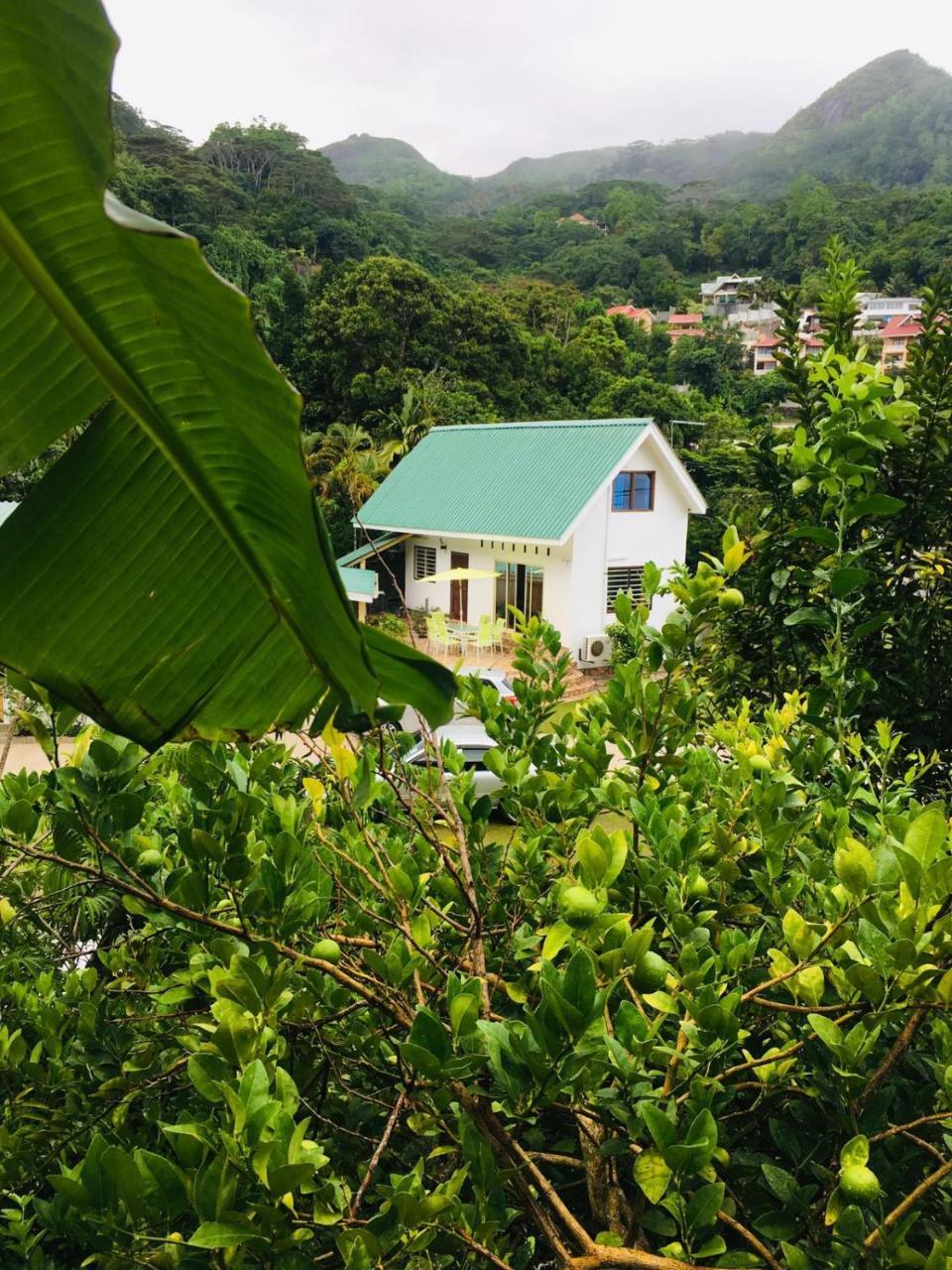 Loversnest Self Catering Anse aux Pins Eksteriør bilde